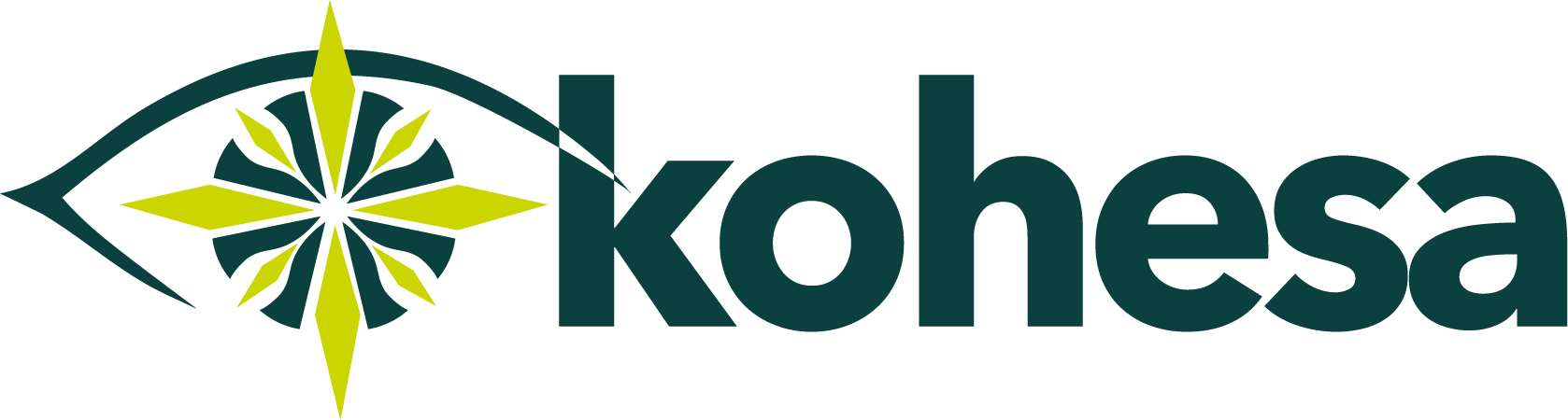 Logo da empresa Kohesa